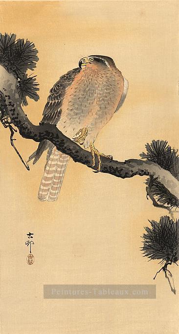 Faucon sur une branche Ohara KOSON Shin Hanga Peintures à l'huile
